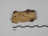 登錄號:F0029011藏品圖，第1張