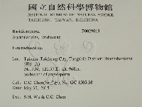 刺皮菌屬藏品圖，第2張