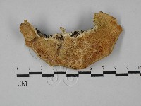 登錄號:F0029014藏品圖，第3張