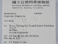 薄孔菌屬藏品圖，第2張