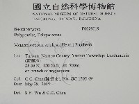 登錄號:F0029019藏品圖，第2張