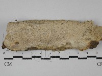 登錄號:F0029019藏品圖，第1張