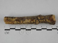 登錄號:F0029022藏品圖，第1張
