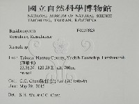 紅菇屬藏品圖，第2張
