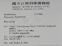 多孔菌屬藏品圖，第2張