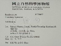 登錄號:F0029027藏品圖，第2張