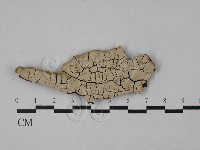 登錄號:F0029027藏品圖，第1張