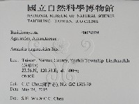 登錄號:F0029029藏品圖，第2張