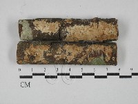 刺皮菌屬藏品圖，第3張