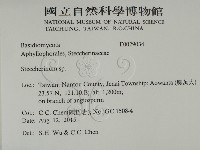 齒耳菌屬藏品圖，第2張