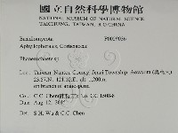 登錄號:F0029036藏品圖，第2張