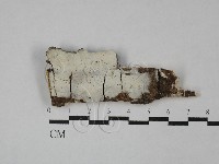 登錄號:F0029036藏品圖，第1張