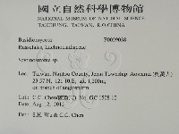登錄號:F0029038藏品圖，第2張