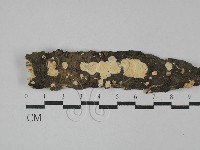 登錄號:F0029038藏品圖，第1張