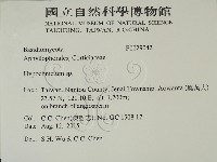登錄號:F0029042藏品圖，第2張