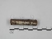 登錄號:F0029042藏品圖，第1張