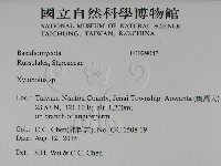 登錄號:F0029043藏品圖，第2張