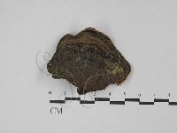 登錄號:F0029043藏品圖，第3張