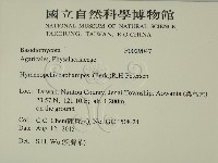登錄號:F0029047藏品圖，第2張