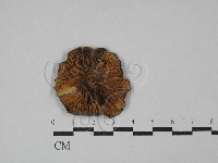 登錄號:F0029047藏品圖，第1張