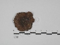 登錄號:F0029047藏品圖，第3張