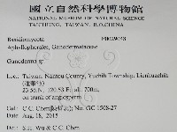 靈芝屬藏品圖，第2張