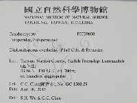 登錄號:F0029050藏品圖，第2張