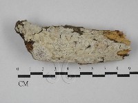 登錄號:F0029050藏品圖，第1張