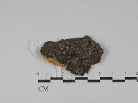登錄號:F0029051藏品圖，第1張