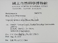登錄號:F0029052藏品圖，第2張