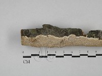 登錄號:F0029052藏品圖，第1張