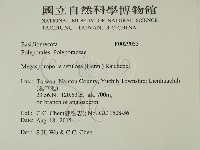 登錄號:F0029053藏品圖，第2張