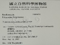 登錄號:F0029054藏品圖，第2張