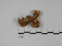 登錄號:F0029054藏品圖，第1張