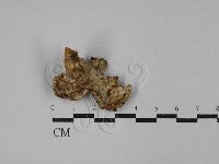 登錄號:F0029054藏品圖，第3張