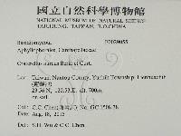登錄號:F0029055藏品圖，第2張