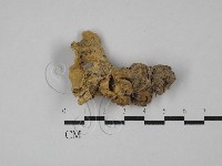 登錄號:F0029055藏品圖，第1張