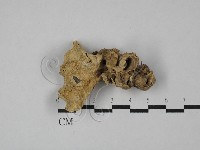 登錄號:F0029055藏品圖，第3張