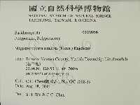 登錄號:F0029056藏品圖，第2張