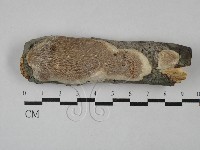 登錄號:F0029056藏品圖，第1張