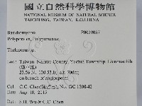 登錄號:F0029057藏品圖，第2張