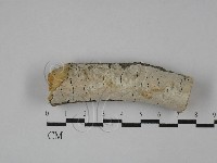 登錄號:F0029057藏品圖，第1張