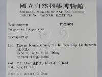 附毛菌屬藏品圖，第2張