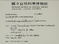 登錄號:F0029059藏品圖，第2張