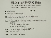 登錄號:F0029061藏品圖，第2張