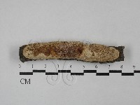 登錄號:F0029061藏品圖，第1張