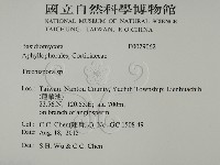 登錄號:F0029062藏品圖，第2張