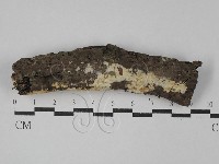 登錄號:F0029062藏品圖，第1張