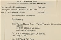 登錄號:F0029062藏品圖，第3張