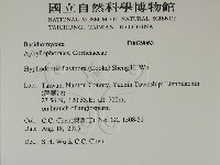 登錄號:F0029063藏品圖，第2張